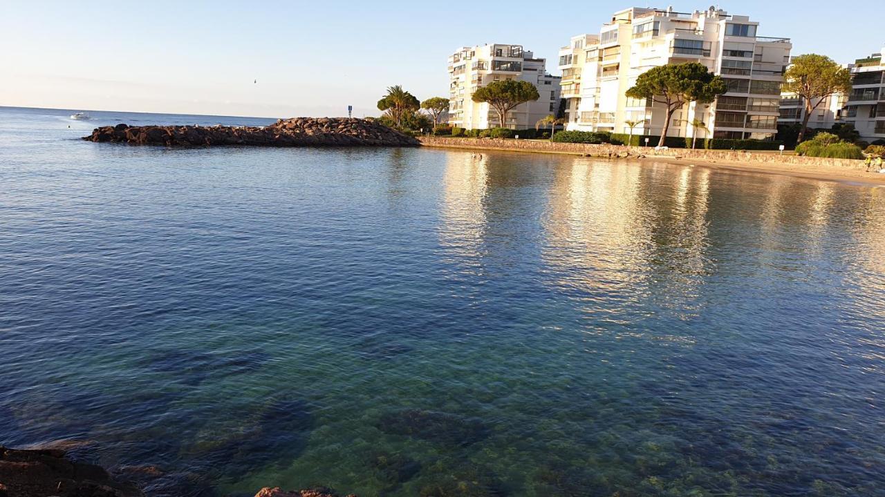 Garden And Beach Sea View Apartment Cannes Mandelieu Extérieur photo